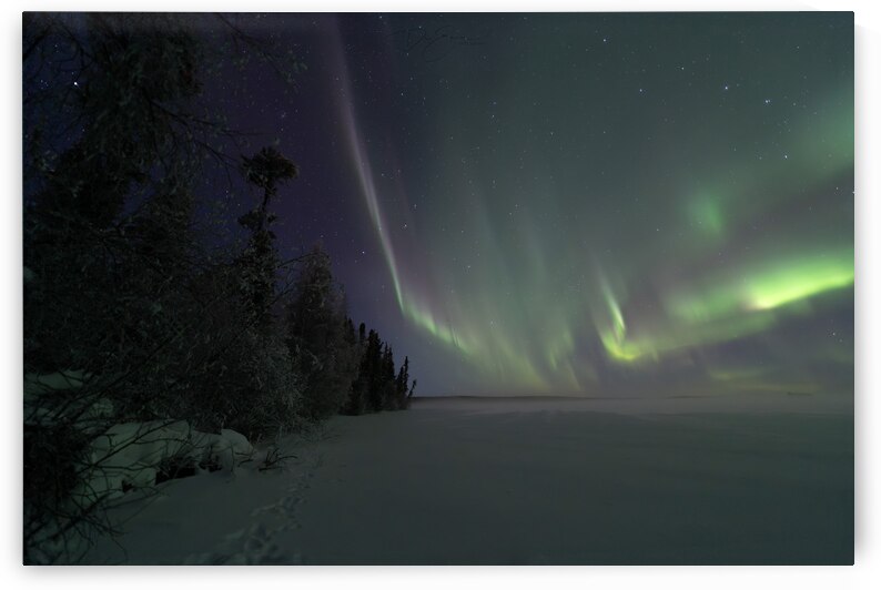 Gordon Lake Northern Lights: Enchanting Winter Beauty by Dre Erwin Photography