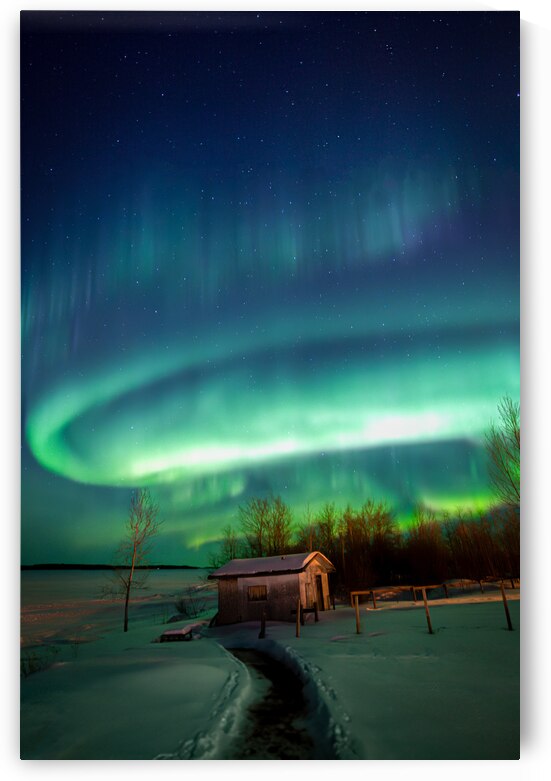 Northern Lights Oasis: Dre Erwins Captivating Canadian Shack Scene by Dre Erwin Photography