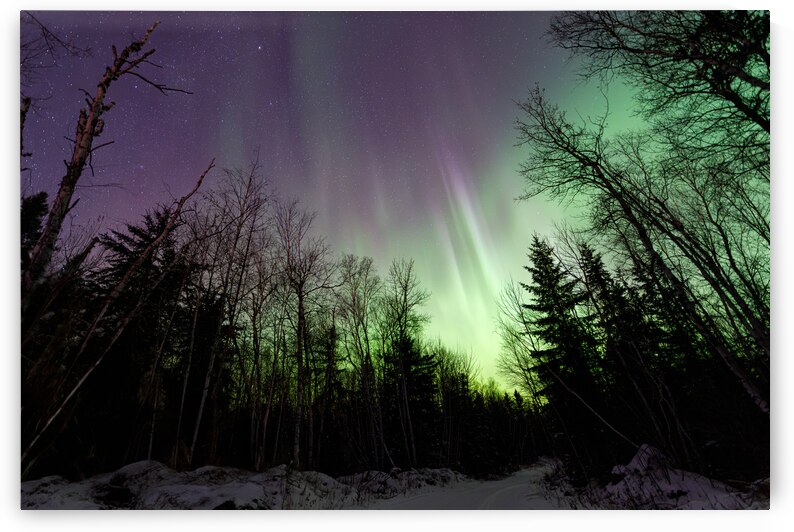 The Pinehouse Lake Aurora Borealis by Dre Erwin Photography