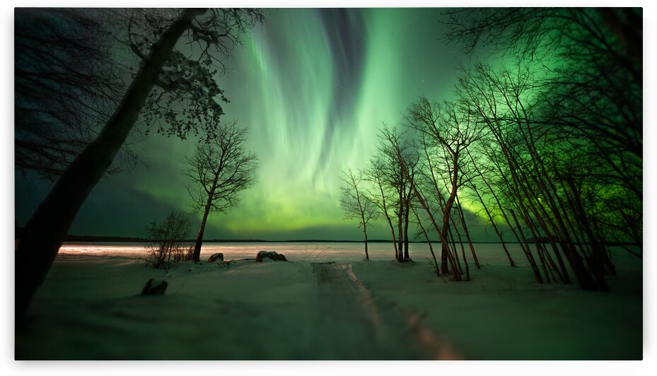 Arctic Symphony: Dre Erwins Aurora Borealis Over Frozen Pinehouse Lake by Dre Erwin Photography