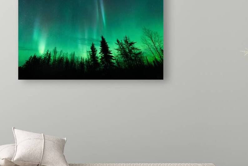 Northern Lights Winter Scene: Evergreen Inspiration from Canadas North by Dre Erwin Photography