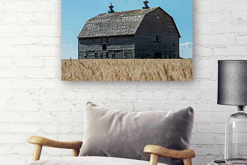 Rustic Relic: 1800s Barn Amidst Saskatchewans Summer Fields by Dre Erwin Photography