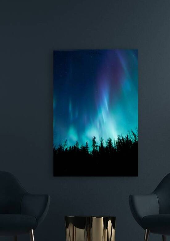 Ethereal Illumination: Dre Erwins Therapeutic Photography of Northern Lights Above Saskatchewans Boreal Forest by Dre Erwin Photography