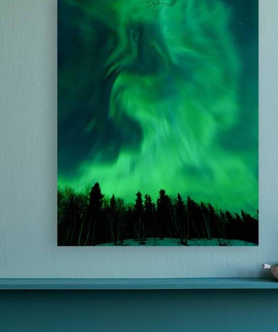 Enchanted Vision: Unicorn Amidst Northern Lights by Dre Erwin Photography