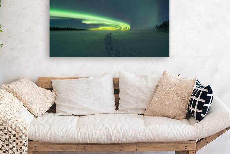 Winters Radiance: Northern Lights Illuminating the U.S. North by Dre Erwin Photography