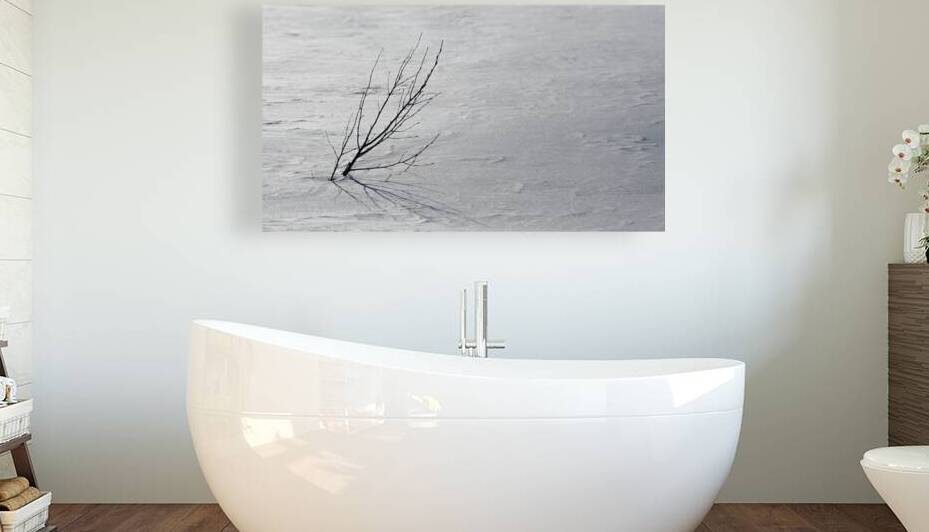 Winters Emergence: Snow-Covered Tundra Branch Amidst Tranquility by Dre Erwin Photography