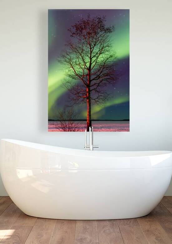 Winters Embrace: A Lone Tree Amidst Pinehouse Lakes Tranquility Capturing the Aurora Borealis by Dre Erwin Photography