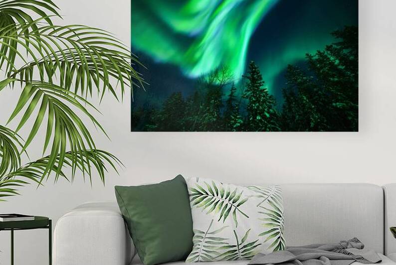 Natures Dazzling Display: Northern Lights Bursting Over Boreal Forest by Dre Erwin Photography