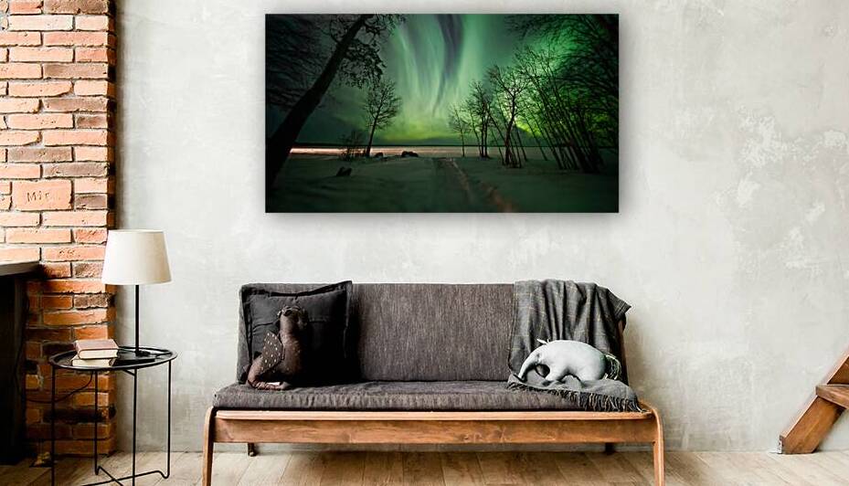Arctic Symphony: Dre Erwins Aurora Borealis Over Frozen Pinehouse Lake by Dre Erwin Photography