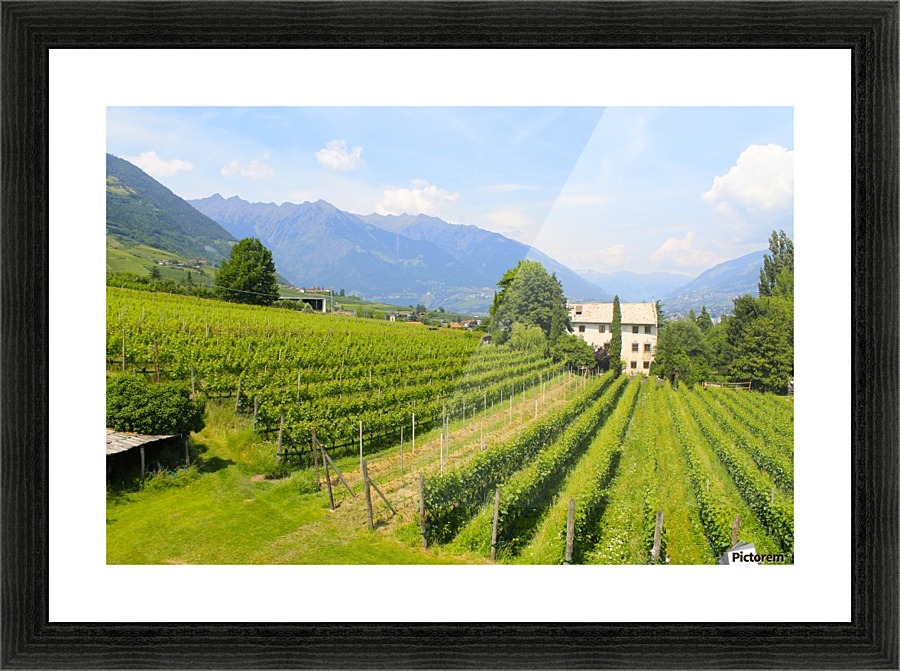Garden Picture Frame print