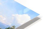 Garden HD Metal print