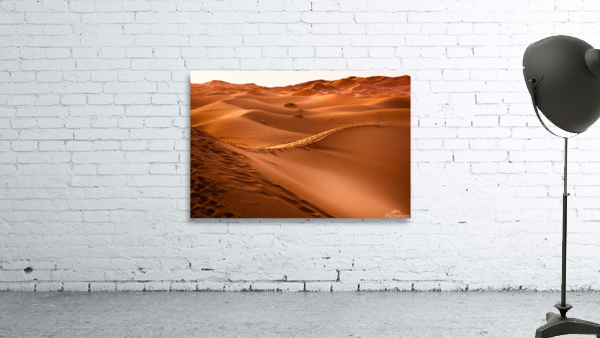 Sand Dunes 2 Wall Preview