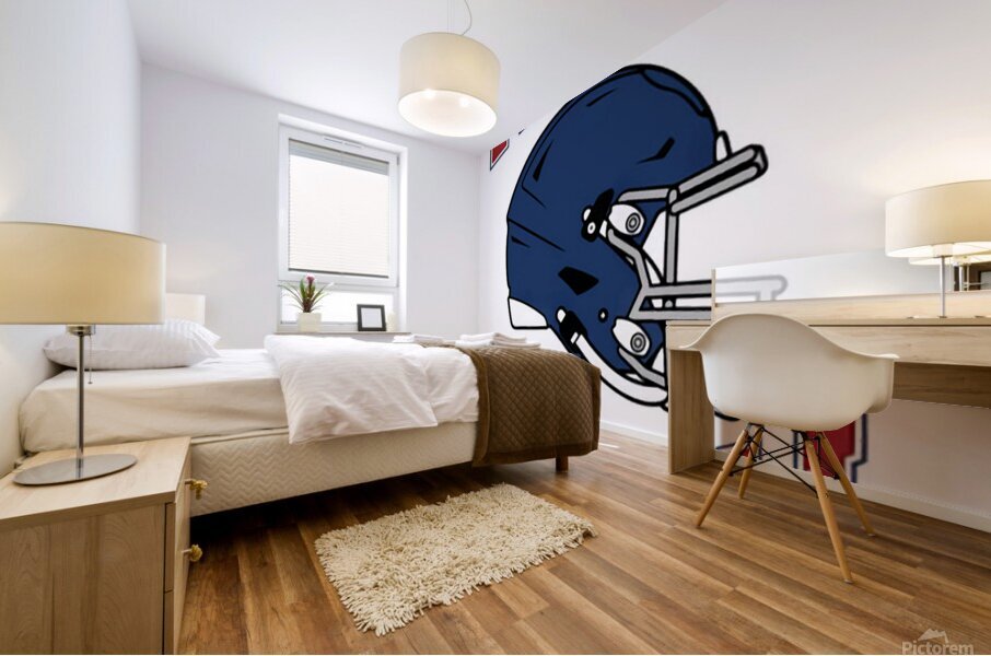 Houston Texans 9 Mural print