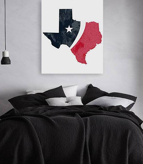 Houston Texans 16 by GiannaUMashburn