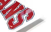 Houston Texans 9 HD Metal print