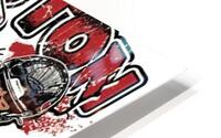 Houston Texans 15 HD Metal print