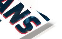 Houston Texans 21 HD Metal print