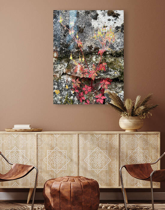 Secret Gardens of Chateau Avensac - Little Robin Geranium Geranium Purpureum - Artist Garry Tosti by Chateau Avensac