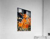 Bells flower Acrylic Print