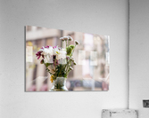  DSF8446 Acrylic Print