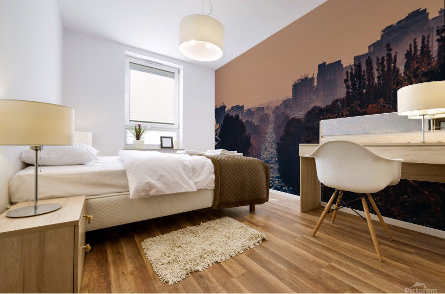 Urban landscape Mural print