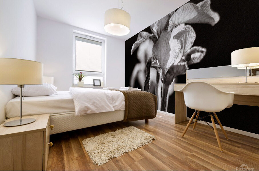 Iris black and white Mural print