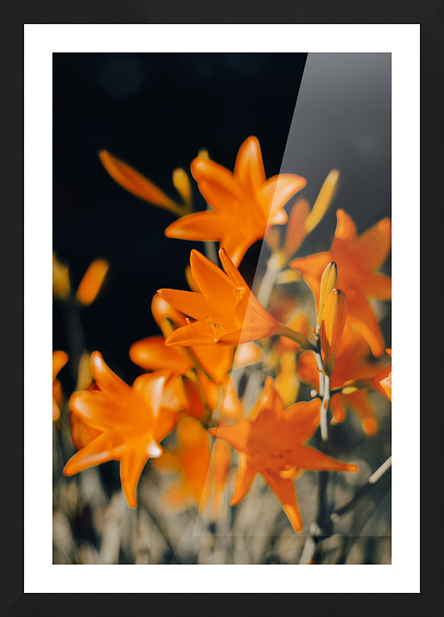 Bells flower Picture Frame print