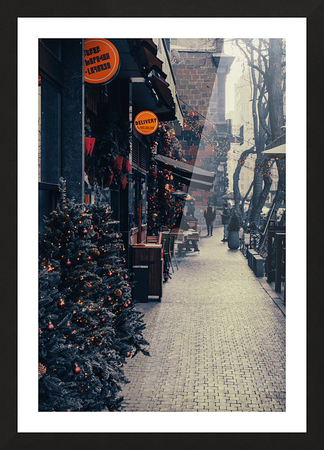  DSC4211 Picture Frame print