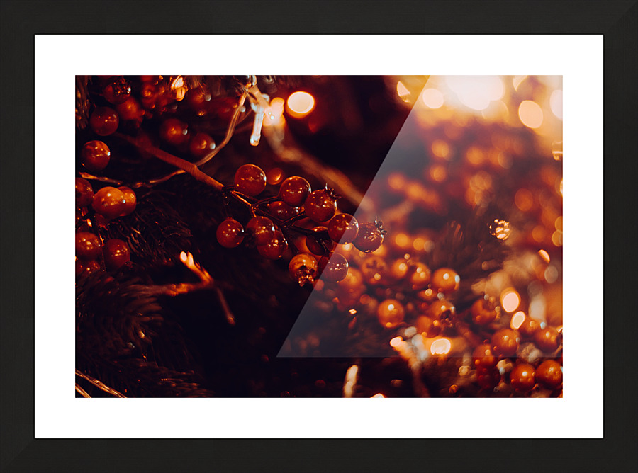  DSC4290 4 Picture Frame print