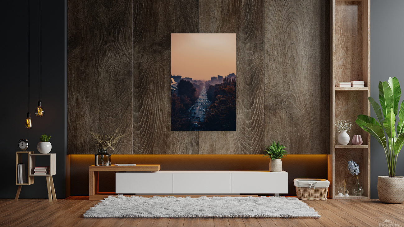 Urban landscape Reproduction