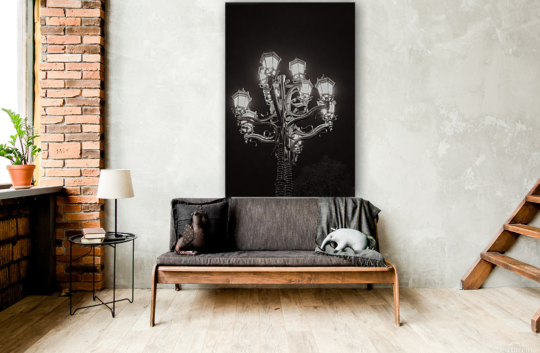 City ​​lights Reproduction