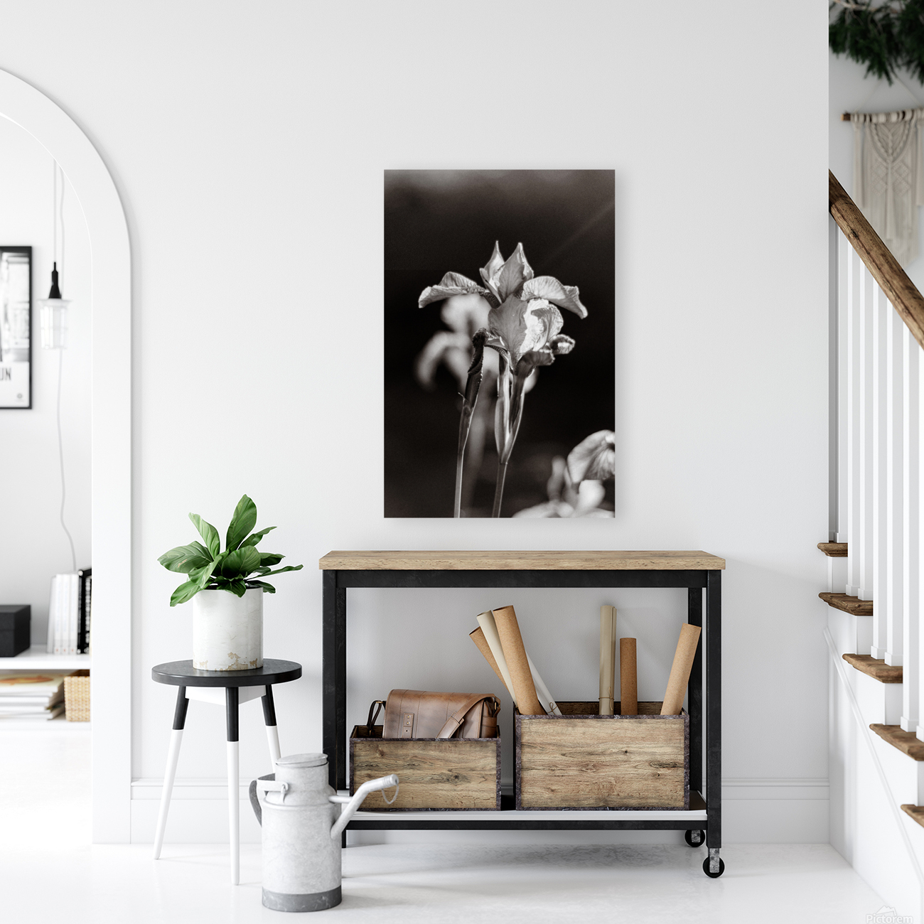 Iris black and white Reproduction