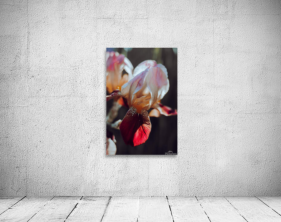 Flowers macro Wall Preview