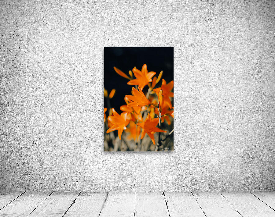 Bells flower Wall Preview