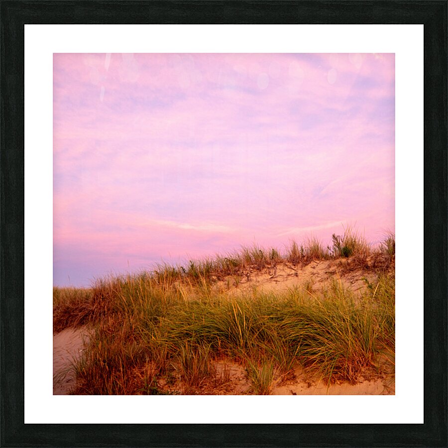 Lieutenant Dunes Picture Frame print