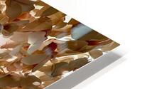 Efflorescence HD Metal print