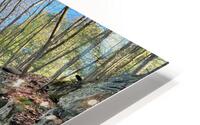 Clamshell Muck HD Metal print