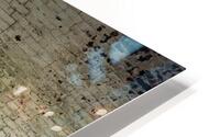 The Prinz HD Metal print
