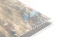 Puffer Panorama HD Metal print