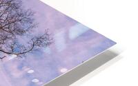 Appleton Tree 2 HD Metal print