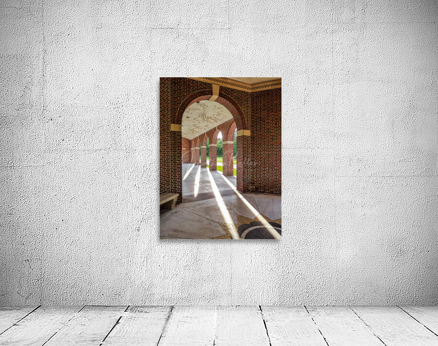 Roosevelt Rays Wall Preview