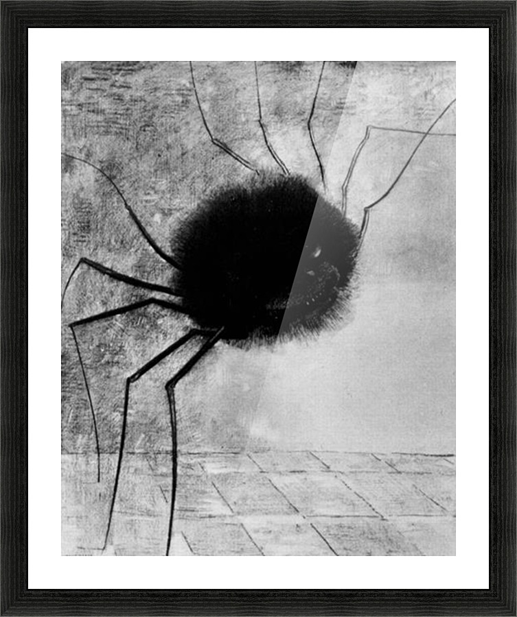 Laughing spider Picture Frame print