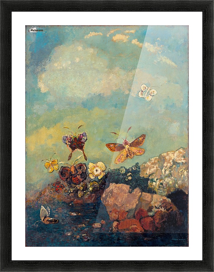 Butterflies Picture Frame print