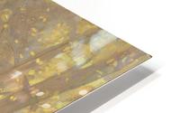 Trees in Bieevres HD Metal print