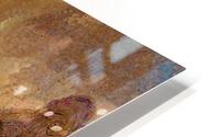 Underwater Vision HD Metal print
