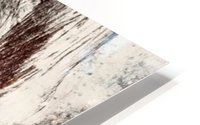 Trunks in the forest HD Metal print