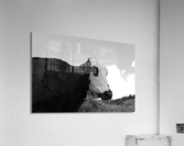 Cow Acrylic Print