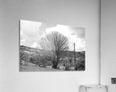 Tree Acrylic Print