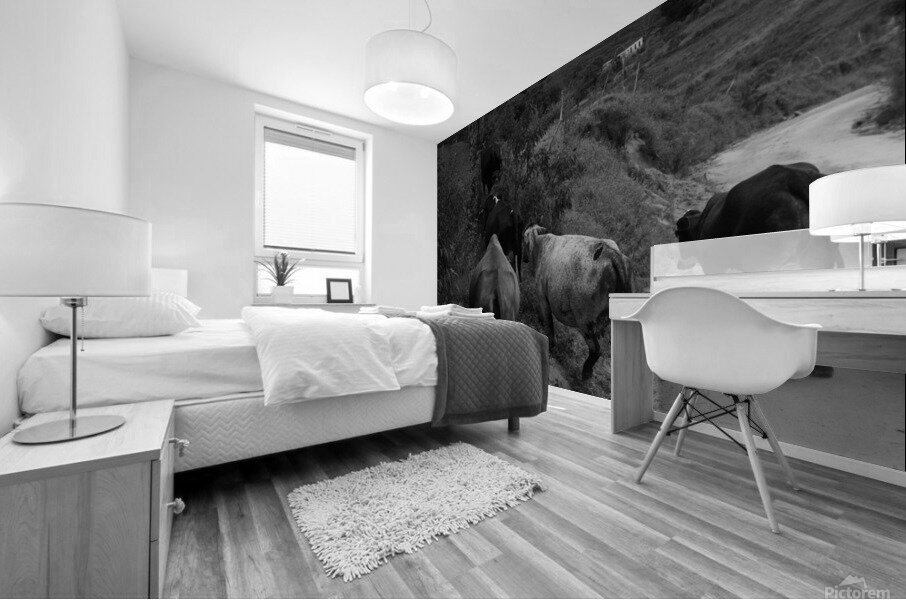 Cows rushing Mural print