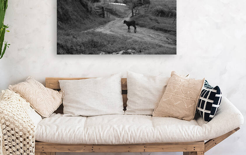 In the way by Pedro Mendes